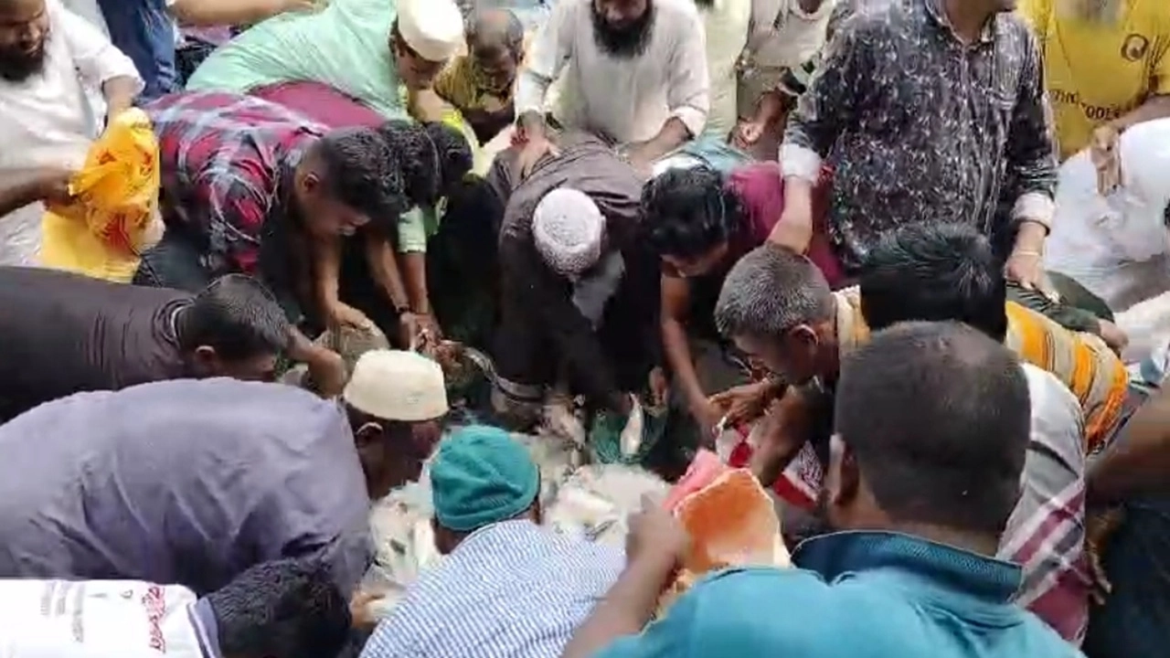 ১৫০০ কেজি জাটকা ইলিশ মাছ আমতলী থানা থেকে নিয়ে যাচ্ছে জনতা