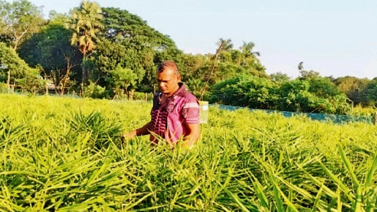 প্রবাস ফেরত আক্তার হোসেন