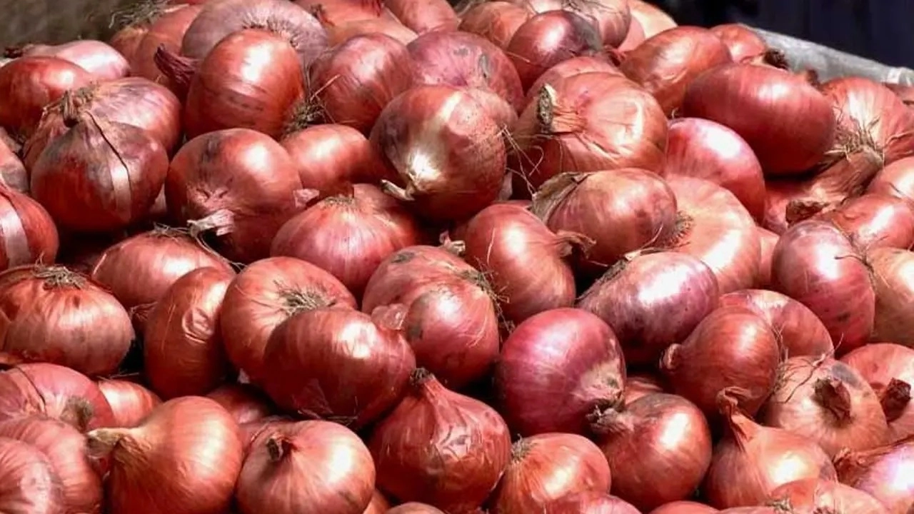 পেঁয়াজ। ছবি সংগৃহীত