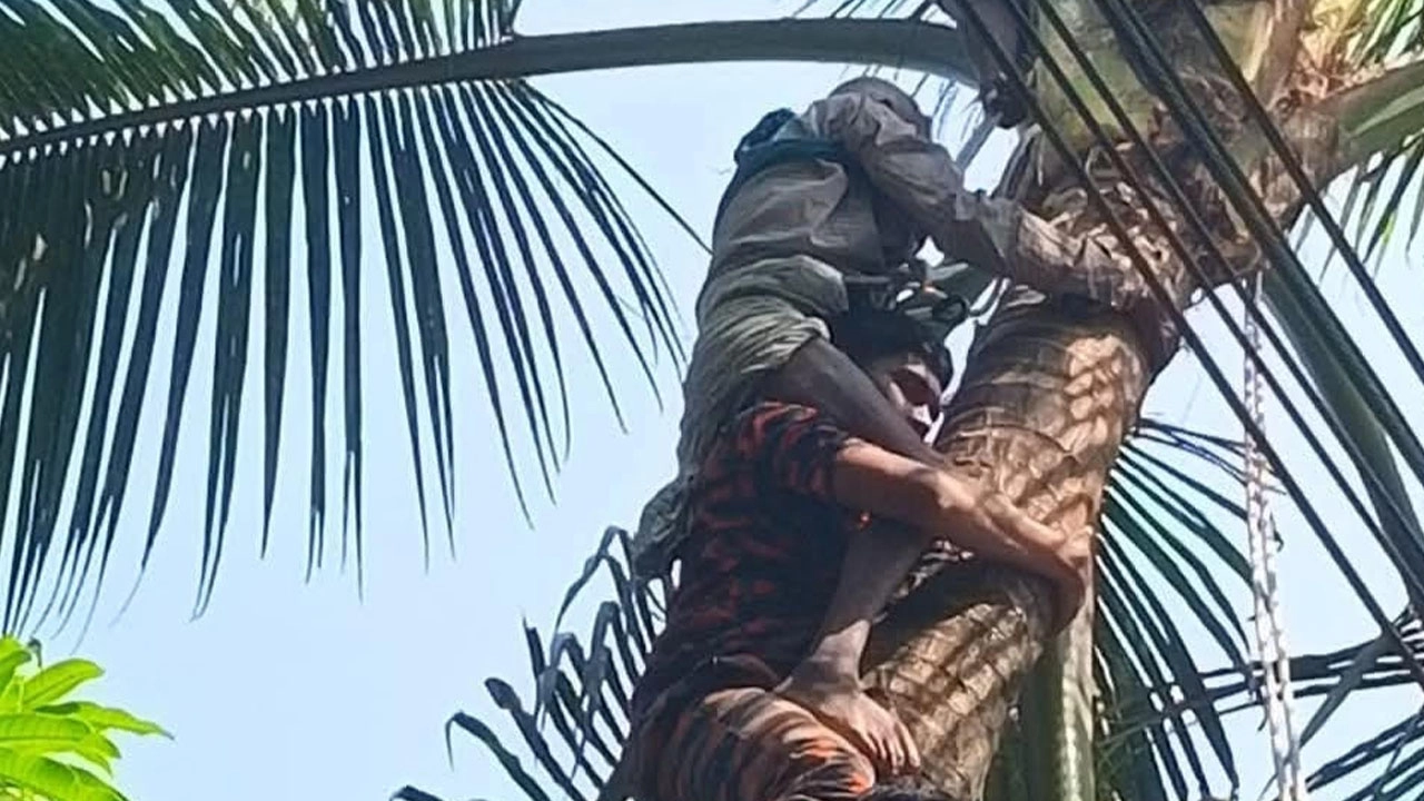 ফায়ার সার্ভিসে উদ্ধার মান্নান