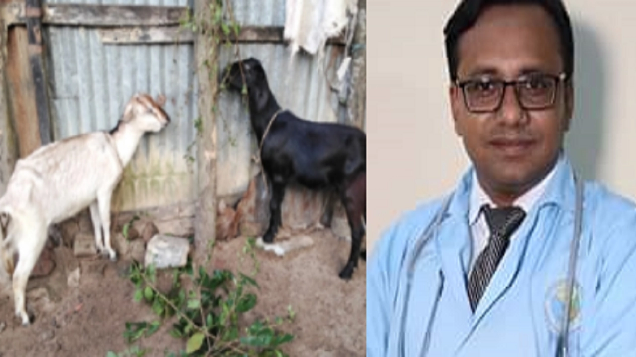 প্রাণিসম্পদ কর্মকর্তা মিঠুন সরকার