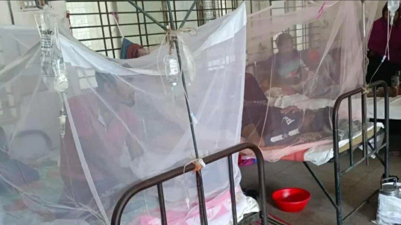 দৌলতপুরে বাড়ছে ডেঙ্গু