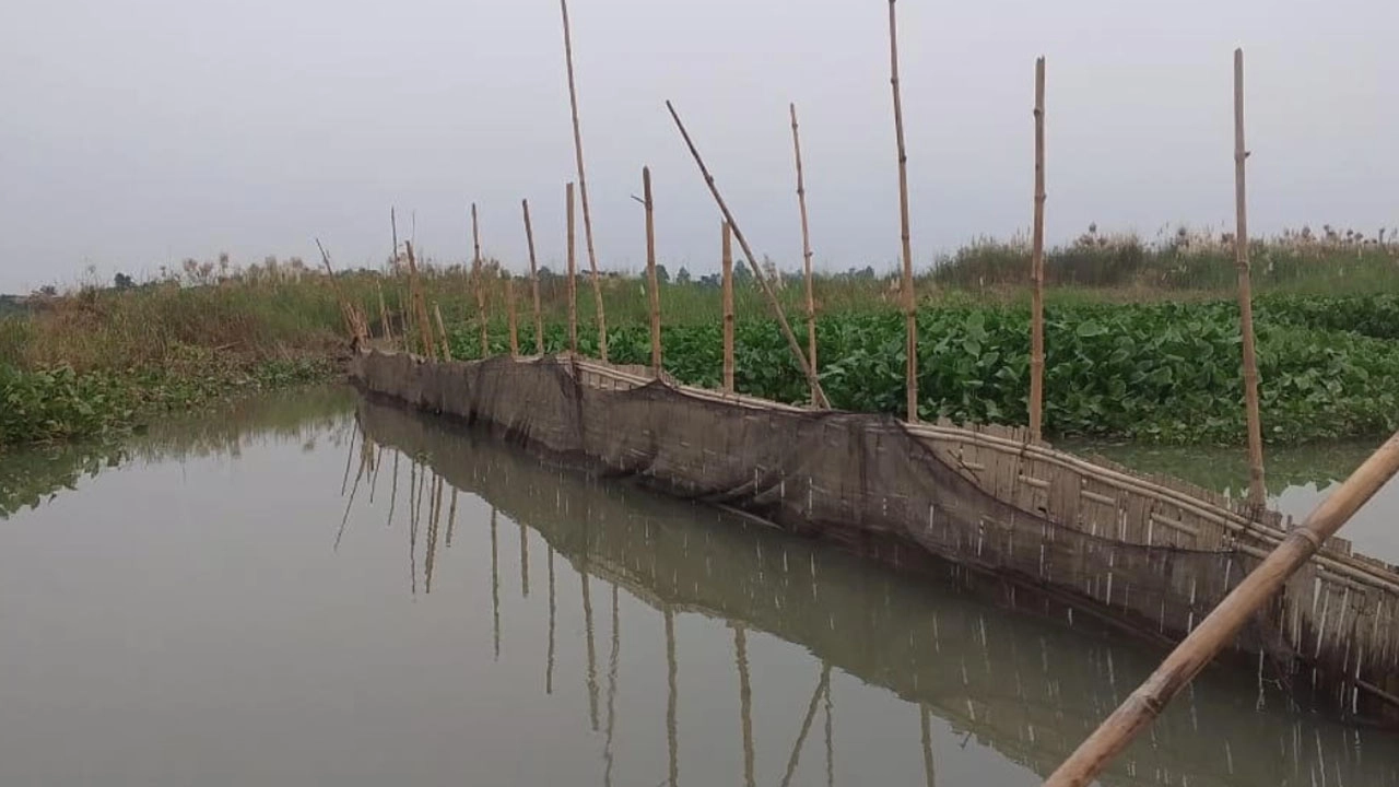 মুন্সীগঞ্জে পদ্মার শাখা খালে বাঁধ