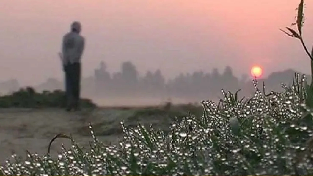 শীতের সকাল