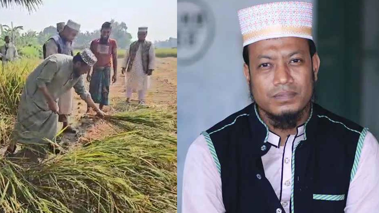 মুফতি আমির হামজা