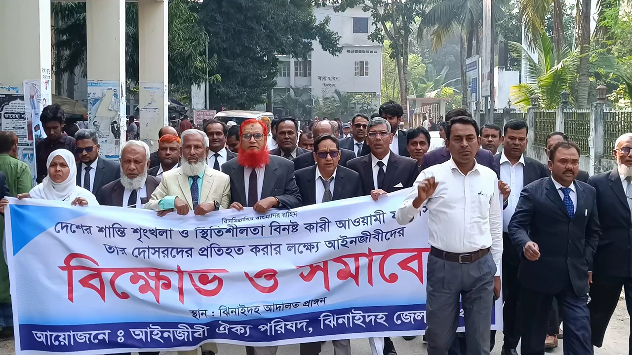 ঝিনাইদহে আইনজীবী ঐক্যপরিষদের বিক্ষোভ মিছিল অনুষ্ঠিত। ছবি: এনপিবি