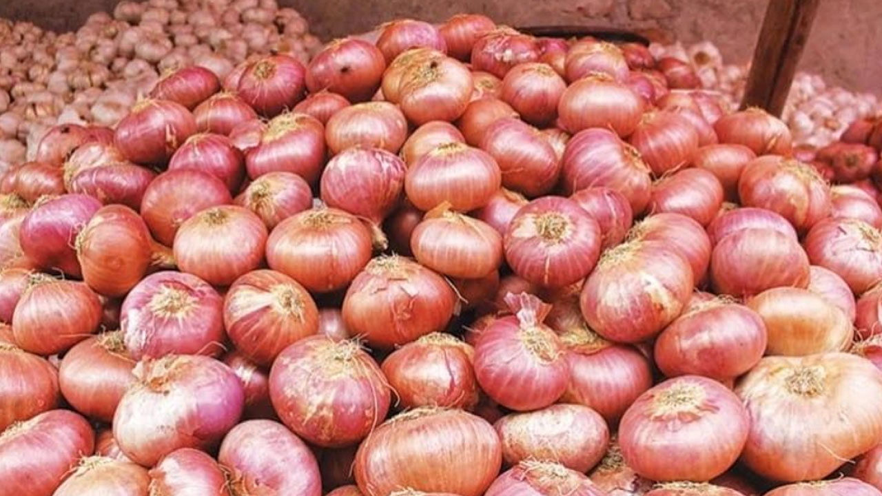 শিবচরে পেঁয়াজের ঝাঁজে পুড়ছে সাধারণ মানুষ