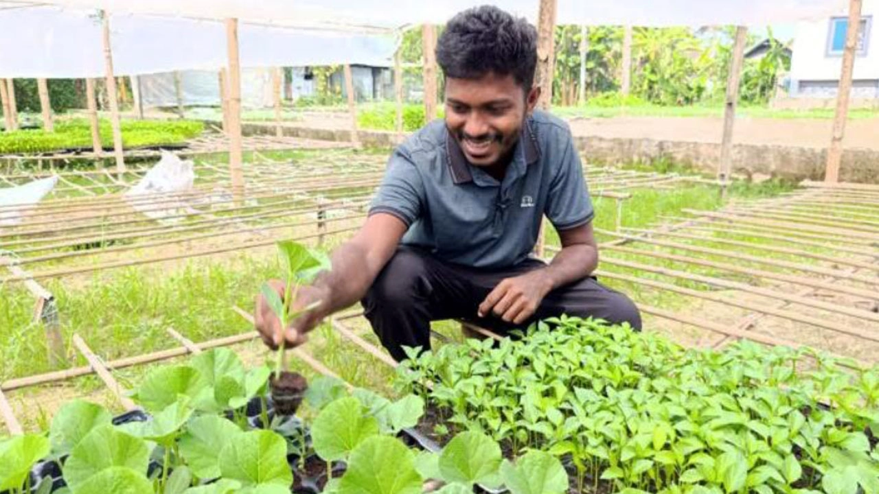 কোকোপিটে চারা উৎপাদনে সাড়া ফেলেছেন বুড়িচংয়ের রাব্বি