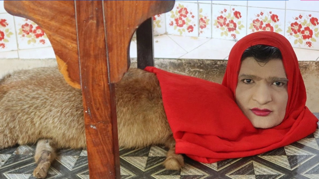 সংগৃহীত ছবি