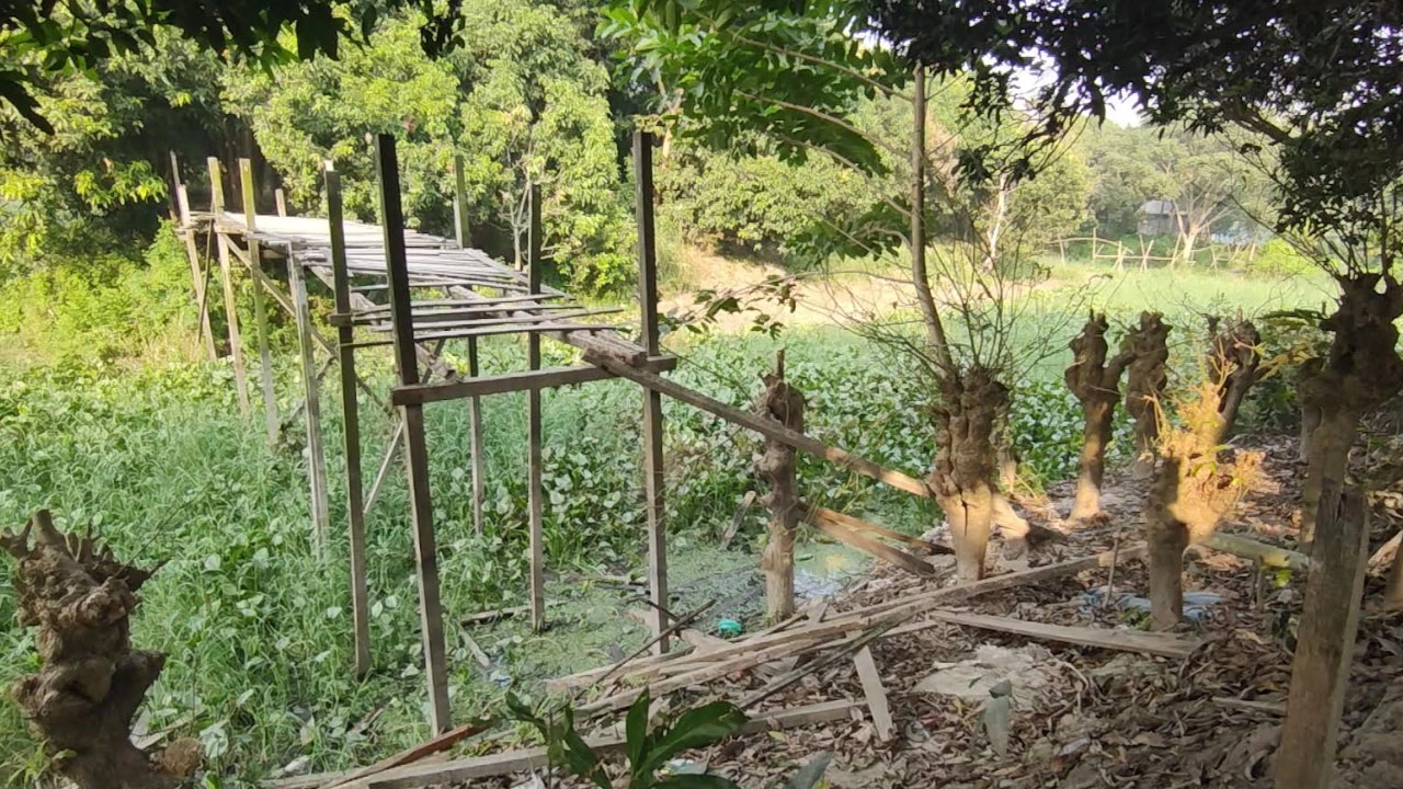 টঙ্গীবাড়ীতে তুচ্ছ ঘটনাকে কেন্দ্র করে চলাচলের রাস্তা বন্ধ