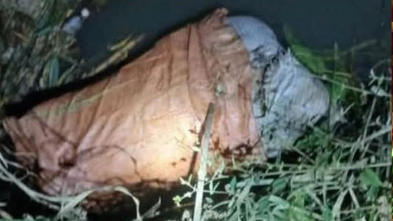 অজ্ঞাত ব্যক্তির লাশ উদ্ধার