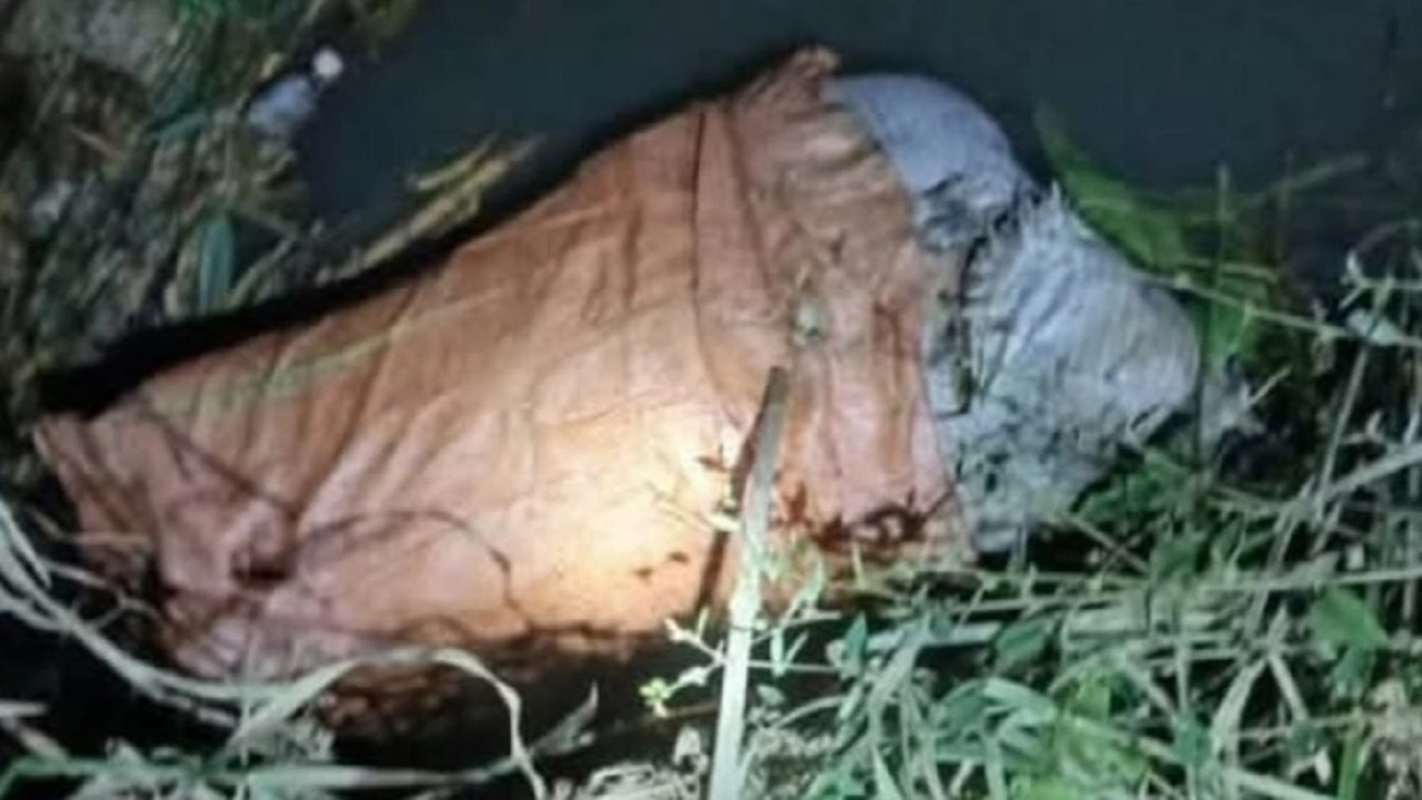 অর্ধগলিত অজ্ঞাত নারীর মরদেহ উদ্ধার