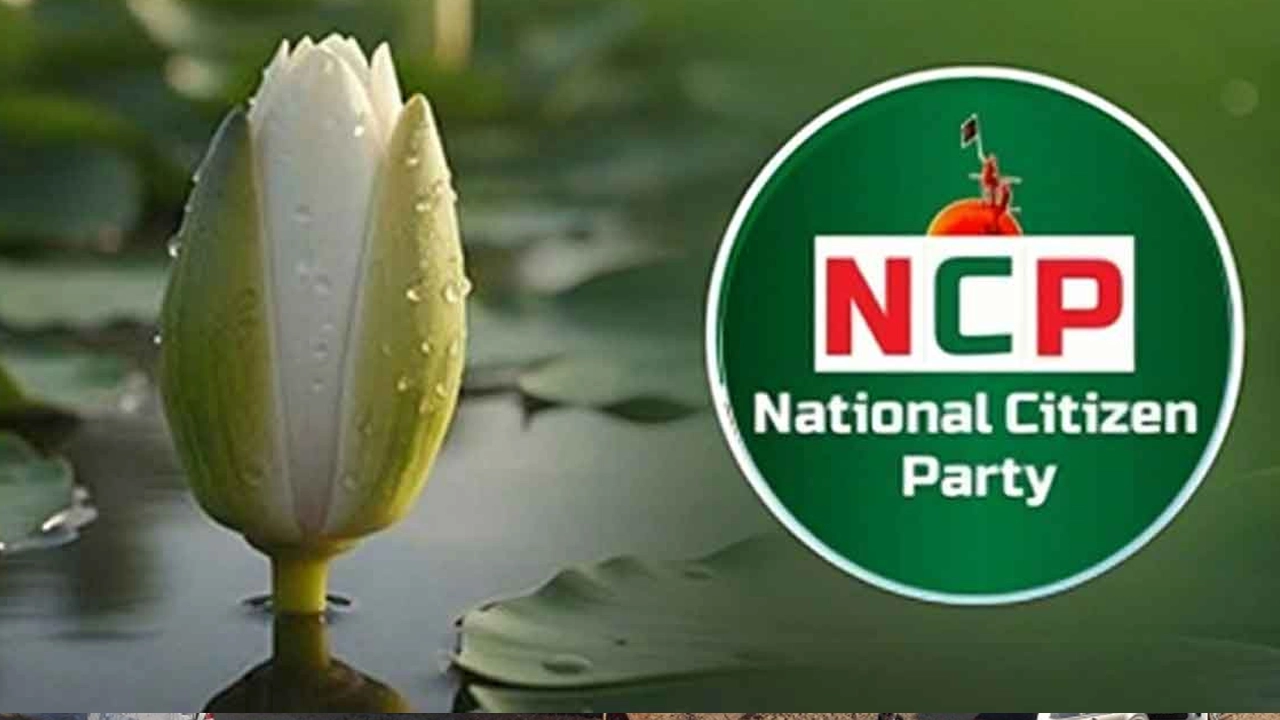 এনসিপির লোগো
