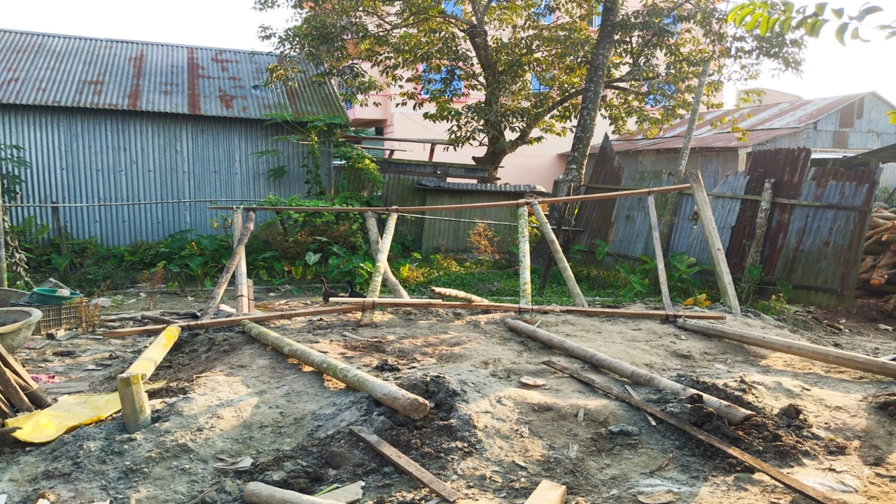 ছবি: এনপিবি নিউজ