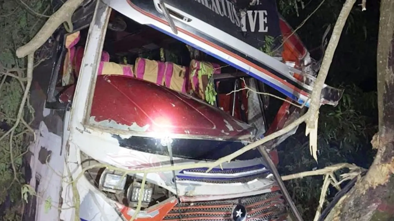 আওয়ামী লীগ, যুবলীগ ও ছাত্রলীগের কিছু কর্মী সড়কে গাছ ফেলে অবরোধ করে