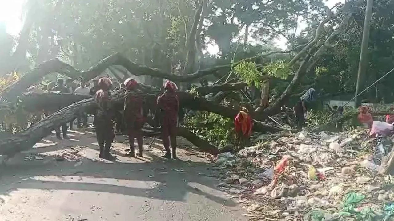 ঢাকা-বরিশাল মহাসড়কে গাছ ফেলে অবরোধ