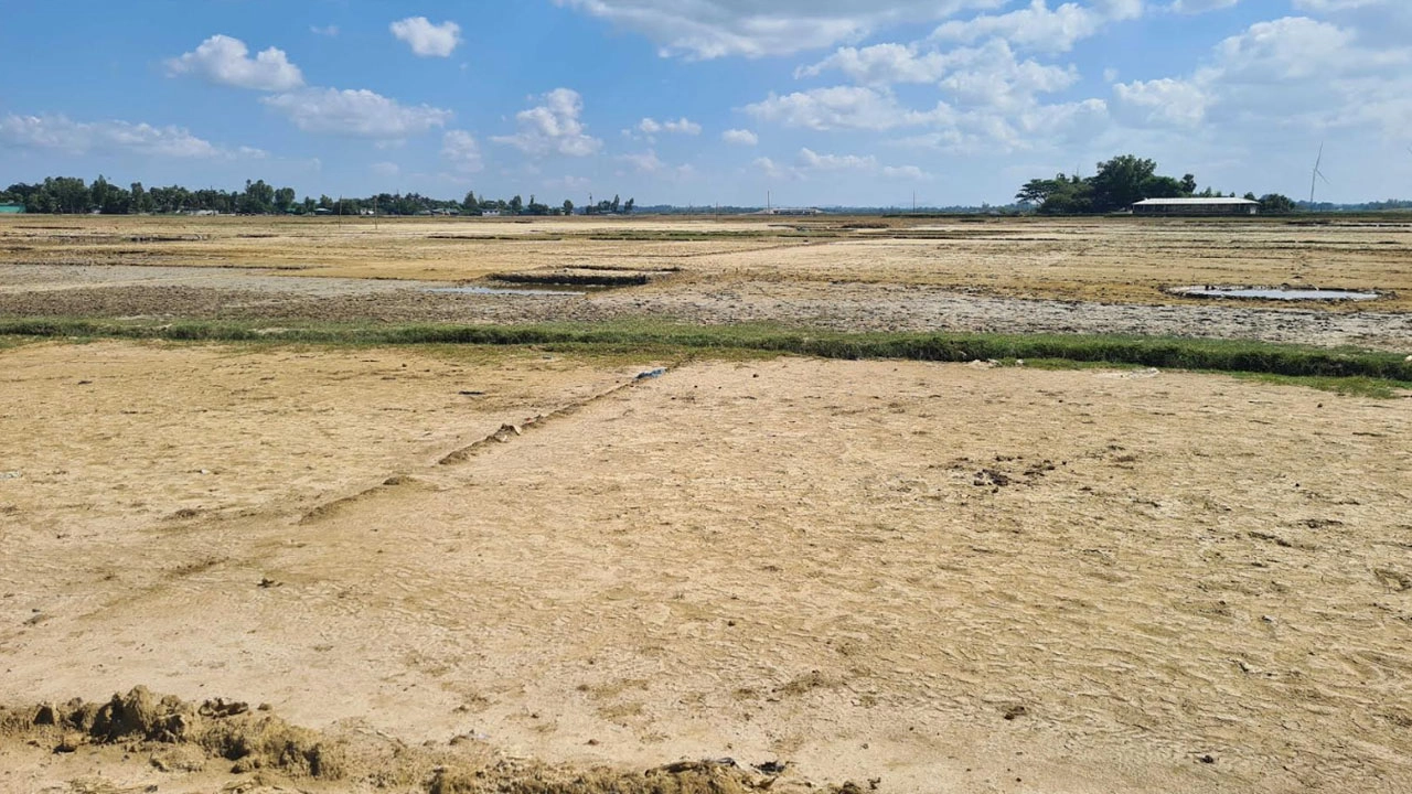 লোকসানের ভয়ে মাঠে নামছেনা উপকূলের লবণ চাষিরা