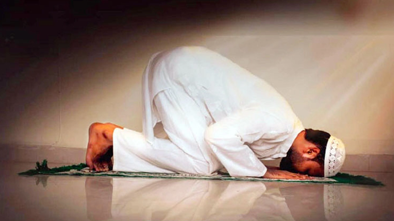 ফাইল ছবি