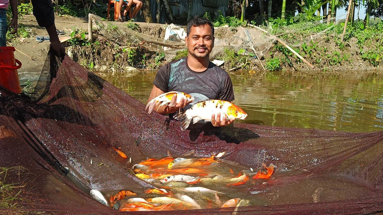 রঙিন মাছে রঙিল সাগর