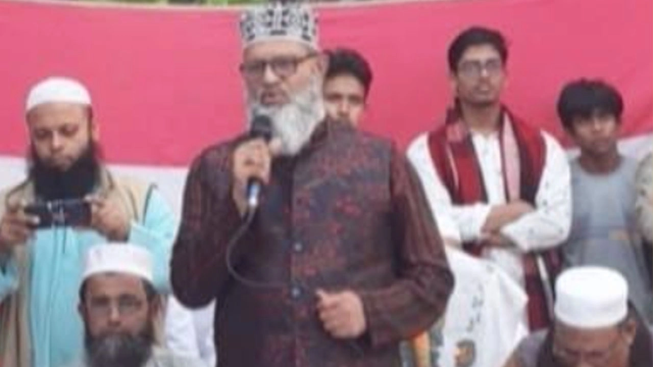 শামীম সাঈদী