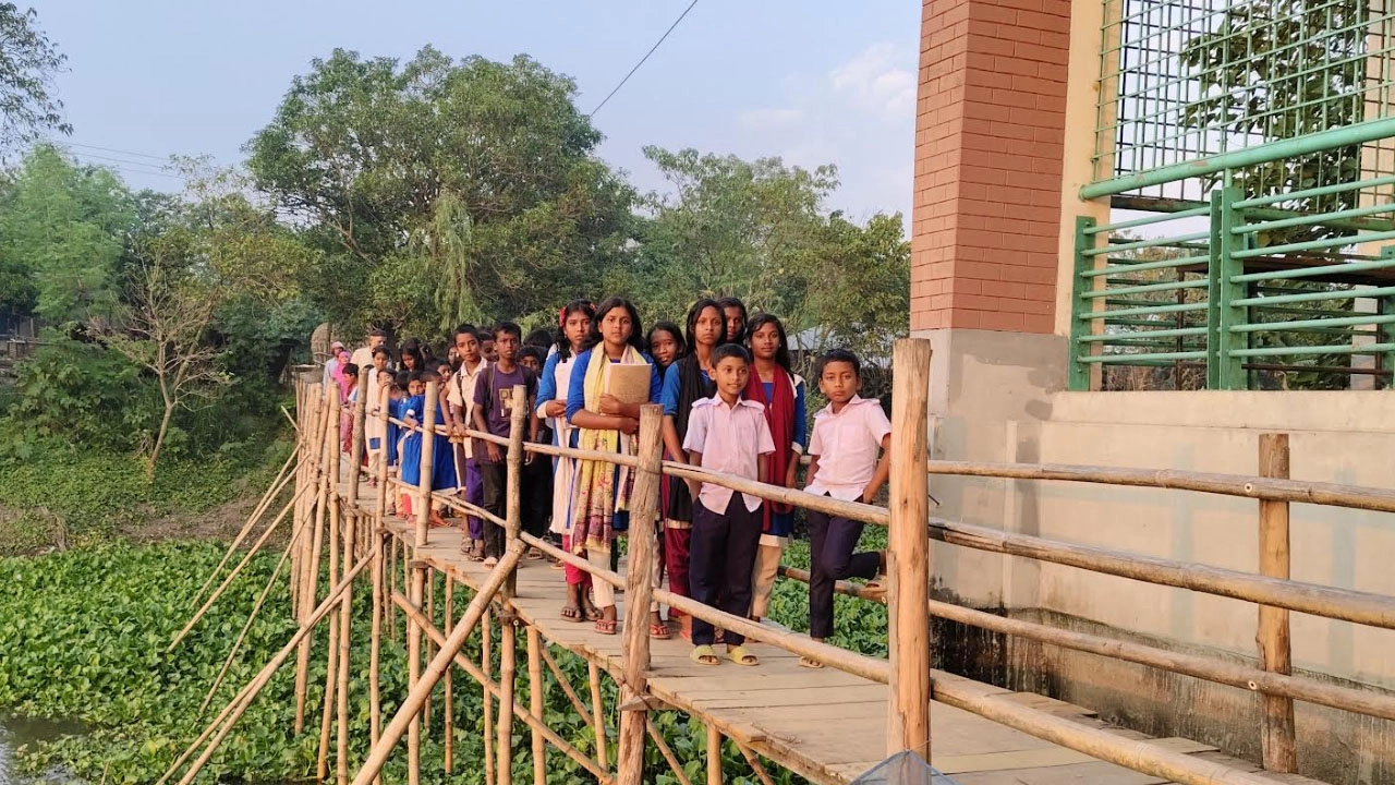 পাবনার ভাঙ্গুড়ার পুঁইবিল সরকারি প্রাথমিক বিদ্যালয়ের শিক্ষার্থীরা নড়বড়ে কাঠ ও বাঁশের সাঁকো পেরিয়ে স্কুলে আসছে।