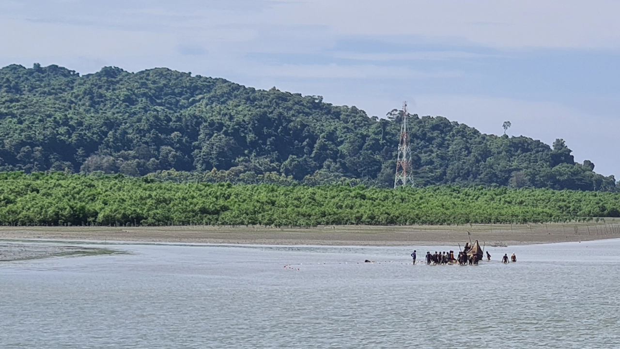 ফাইল ছবি