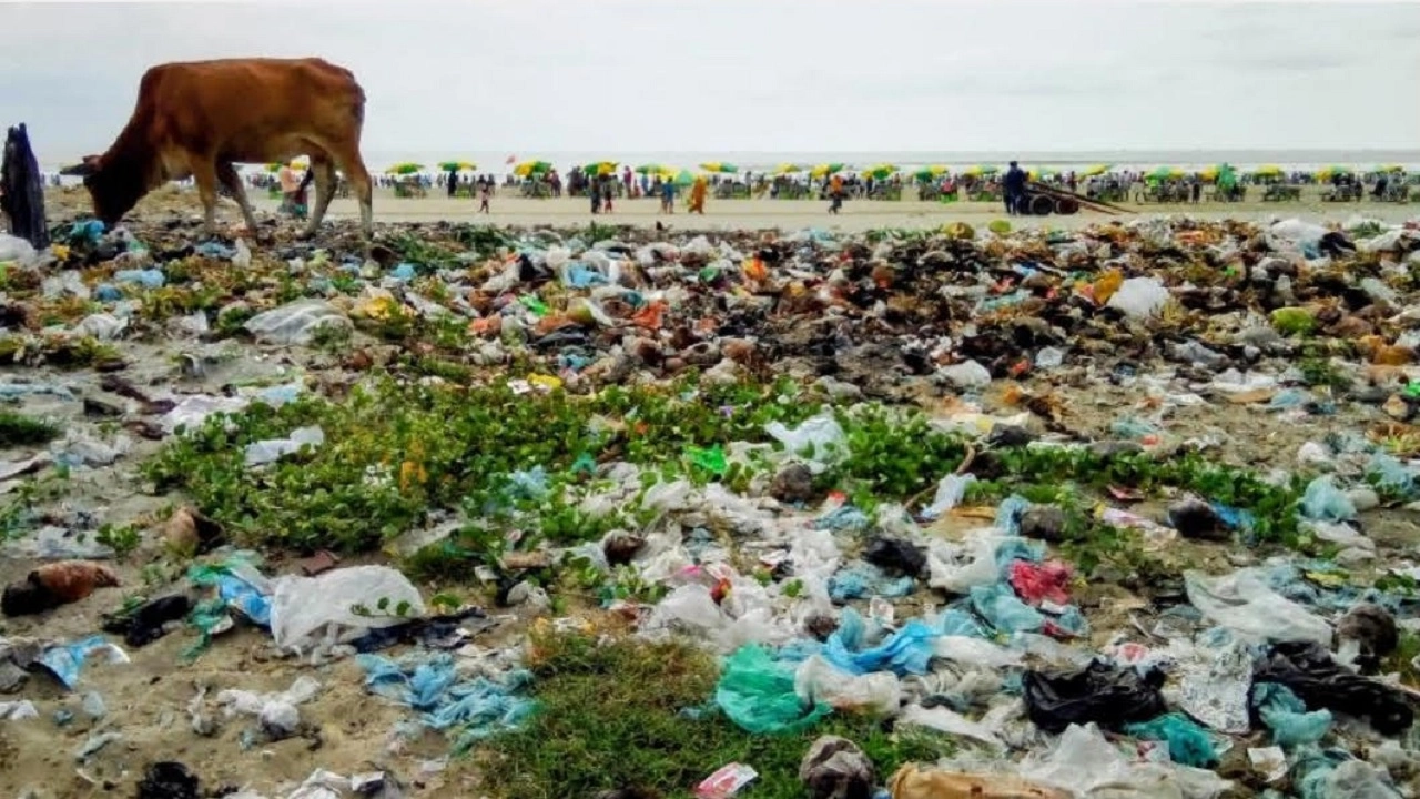 বর্জ্যের ভাগাড়