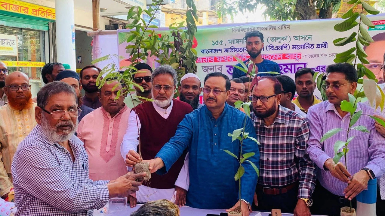 তারেক রহমানের জন্মদিনে মানুষদের বৃক্ষের চারা দিচ্ছেন বিএনপির মনোনীত প্রার্থী