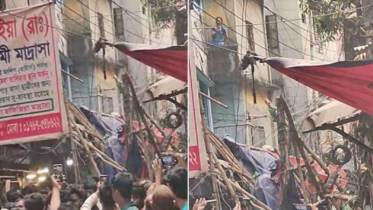 ছবি সংগৃহীত