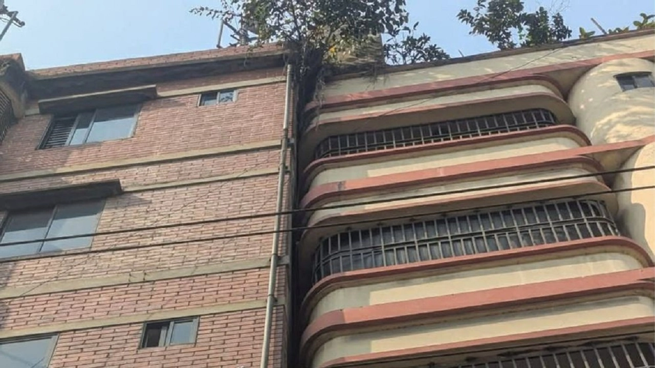 ছবি সংগৃহীত