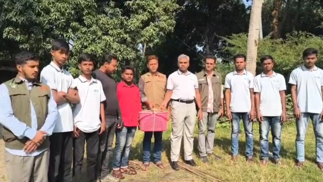 চুয়াডাঙ্গায় পাচারের সময় উদ্ধার হওয়া ৩টি তক্ষক অবমুক্ত করা হয়