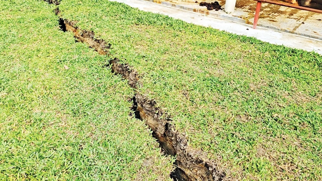 ছবি সংগৃহীত