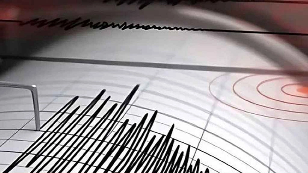 ছবি সংগৃহীত