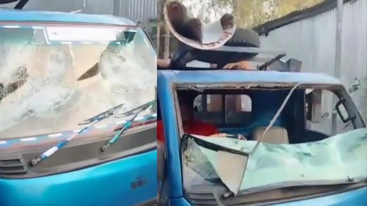 বাজিতপুরে ১২ দলীয় জোটের সমন্বয়ক ও বাংলাদেশ জাতীয় দলের চেয়ারম্যান সৈয়দ এহসানুল হুদার নেতা–কর্মীদের ওপর হাম