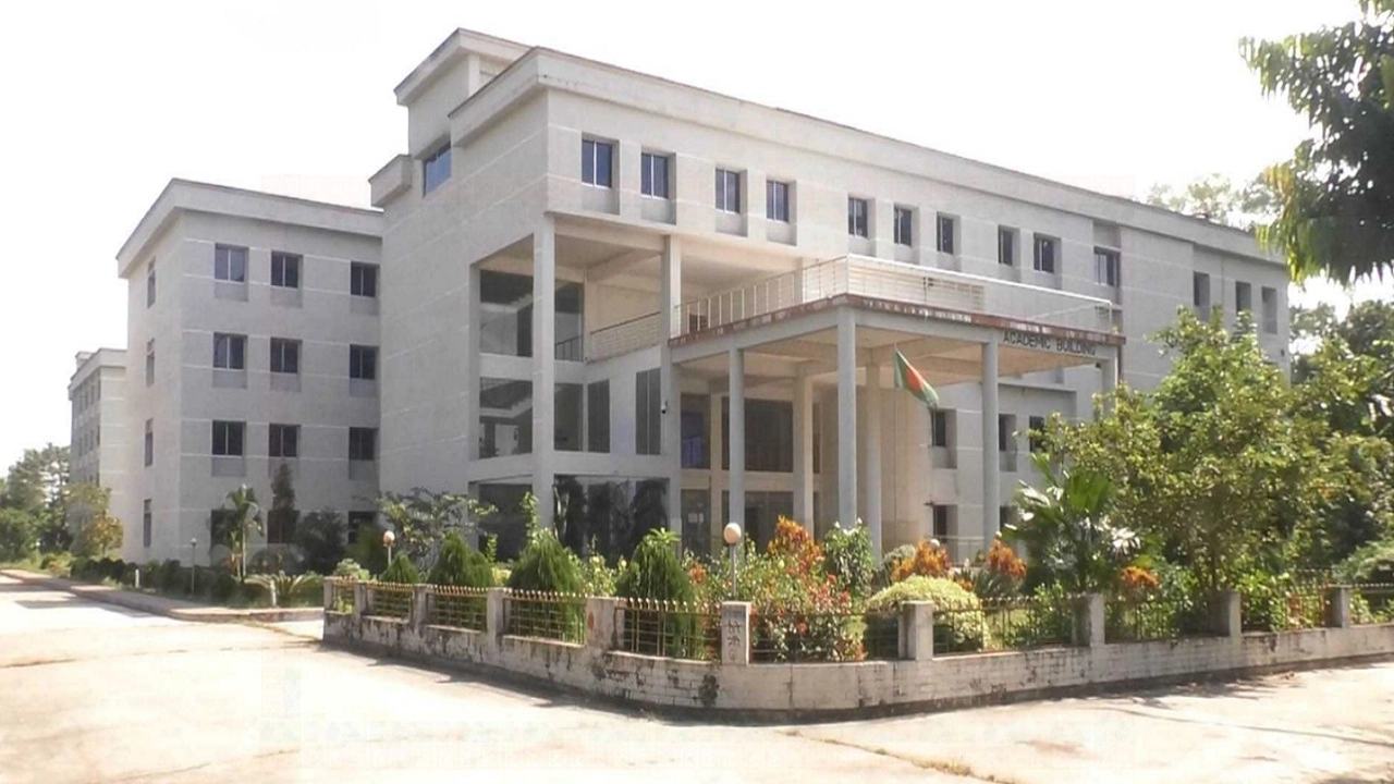 ছবি সংগৃহীত