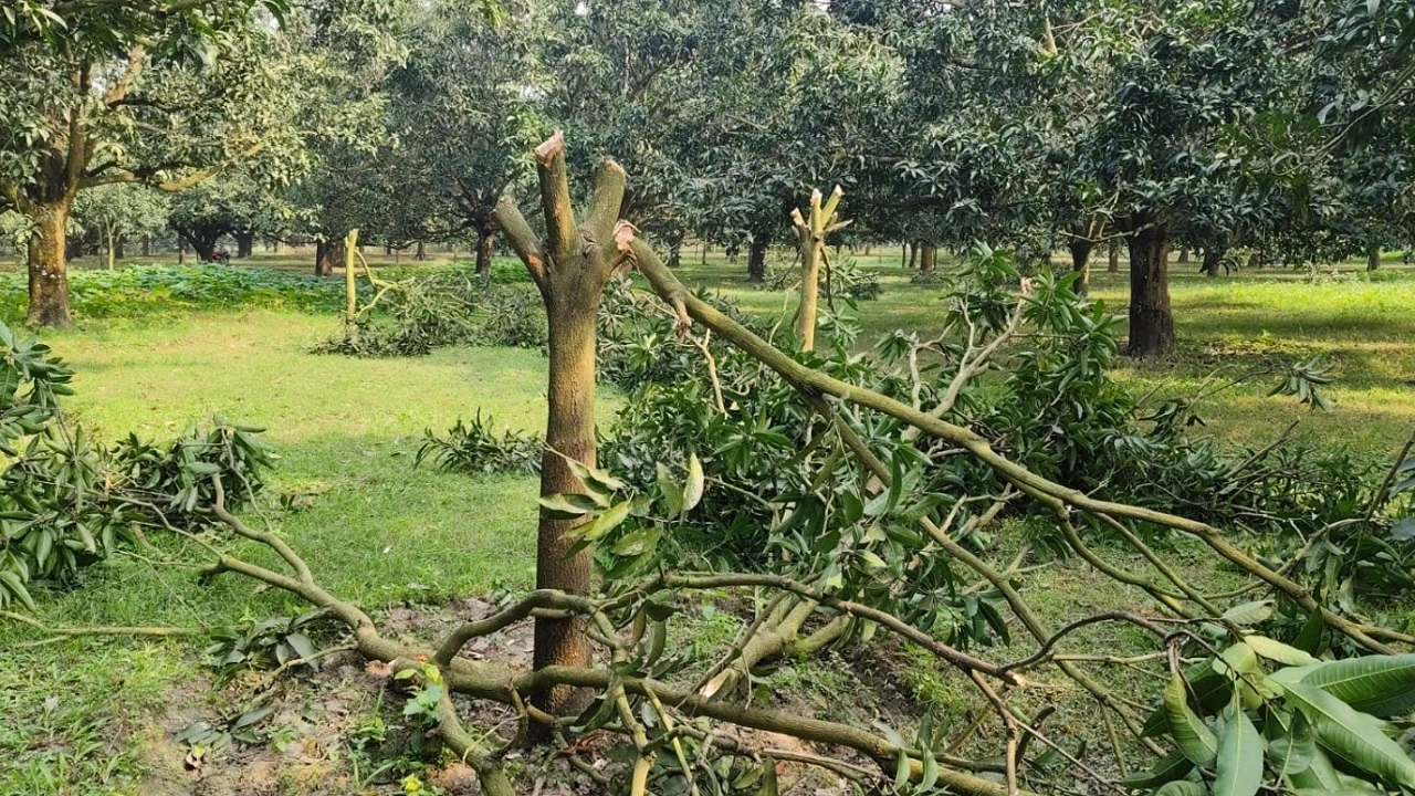 ছবি সংগৃহীত