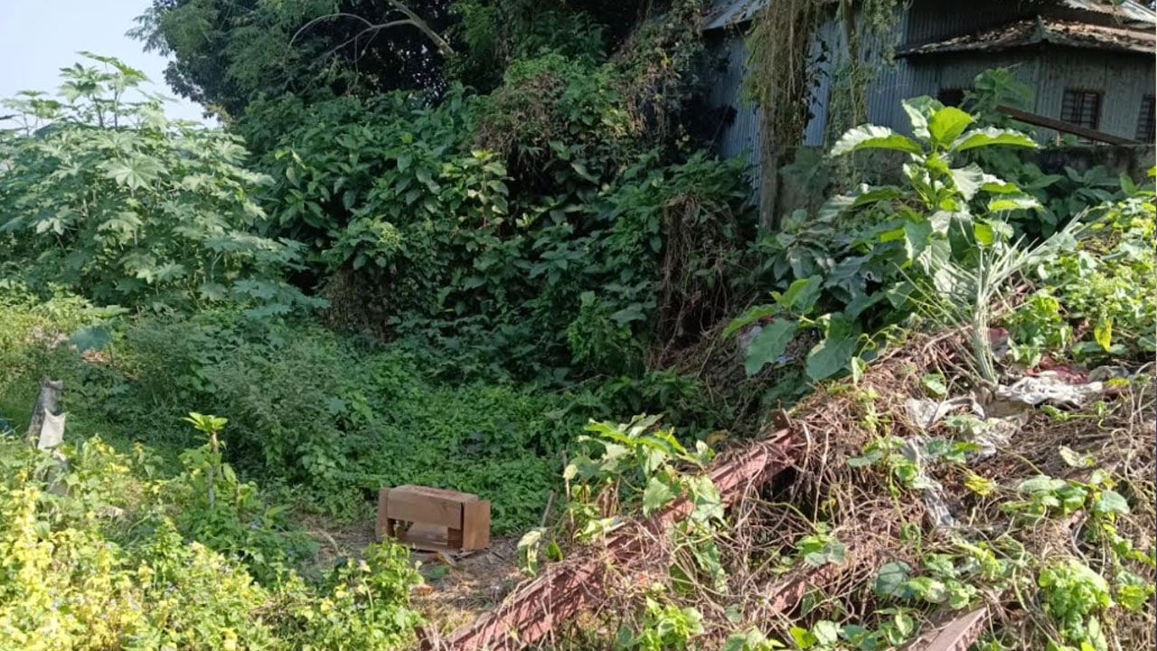 শিয়ালের আক্রমণে হরিরামপুর গ্রামজুড়ে আতঙ্ক  