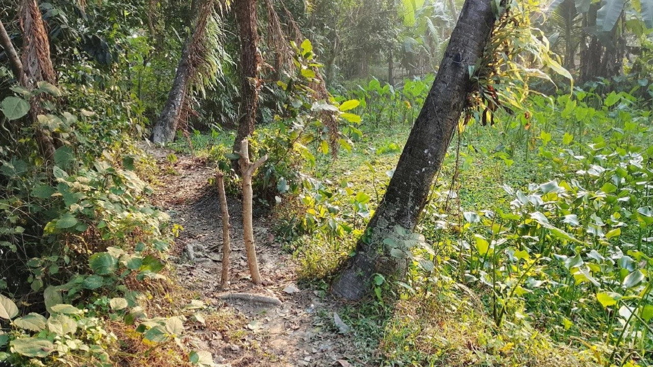 চলাচলের রাস্তায় হঠাৎ খুঁটি পোঁতা