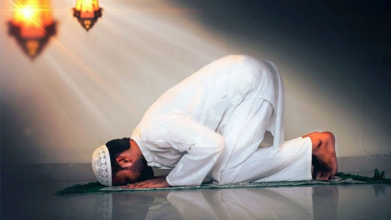 ফাইল ছবি