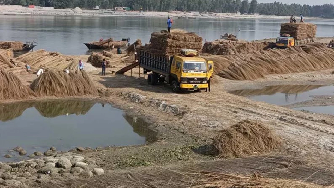 ছবি: এনপিবি