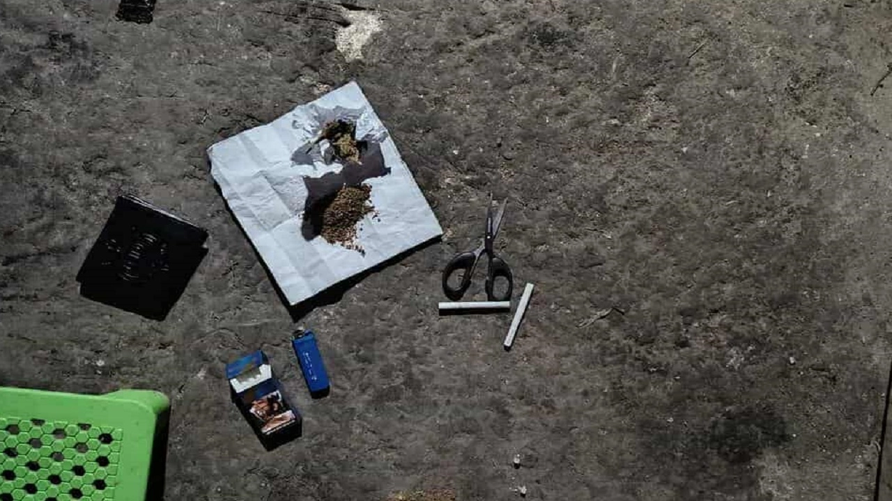 জব্দ করা গাঁজা