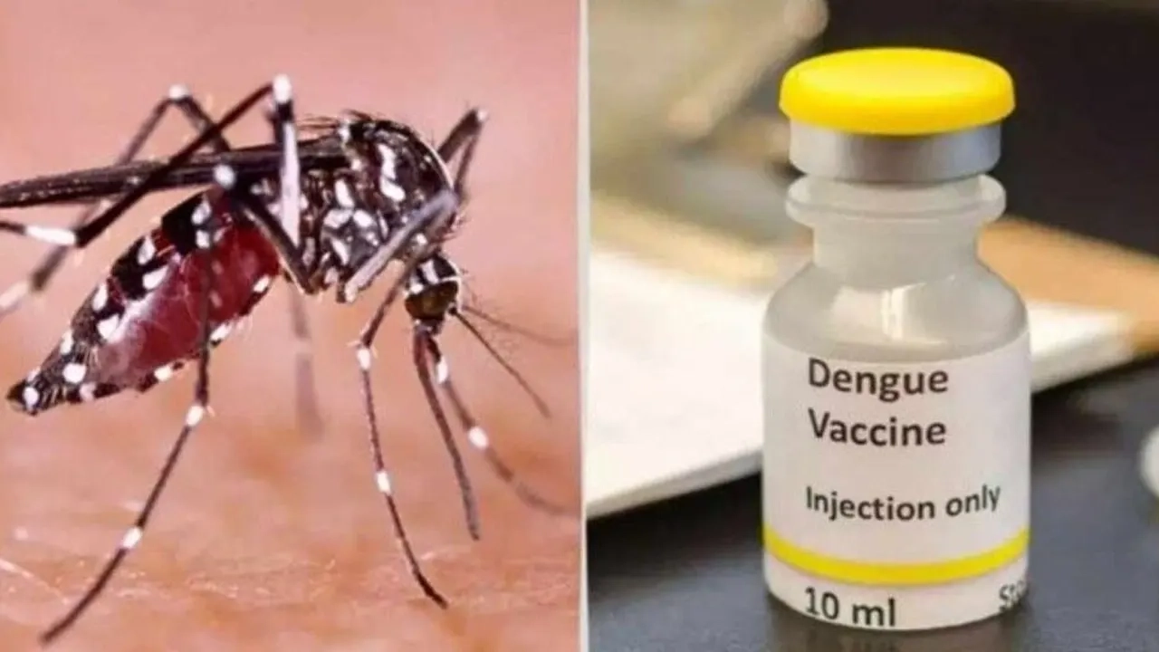 অনুমোদন মিলল বিশ্বের প্রথম এক ডোজের ডেঙ্গু টিকা
