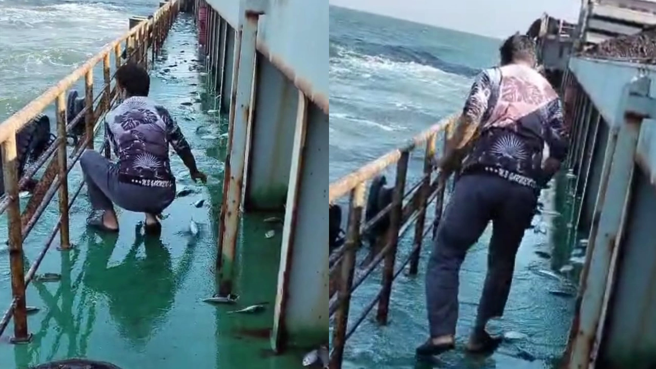 পায়রা বন্দরের রাবনাবাদ চ্যানেলে লাইটার জাহাজের ডেকে লাফিয়ে ইলিশ