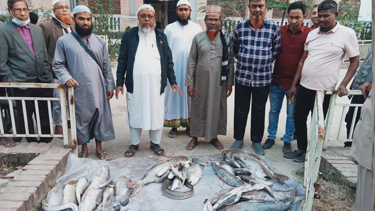 সুন্দরবনে জব্দ ৮৬ কেজি মাছ নিলামে মূল্য না মেলায় এতিমখানায় বিতরণ