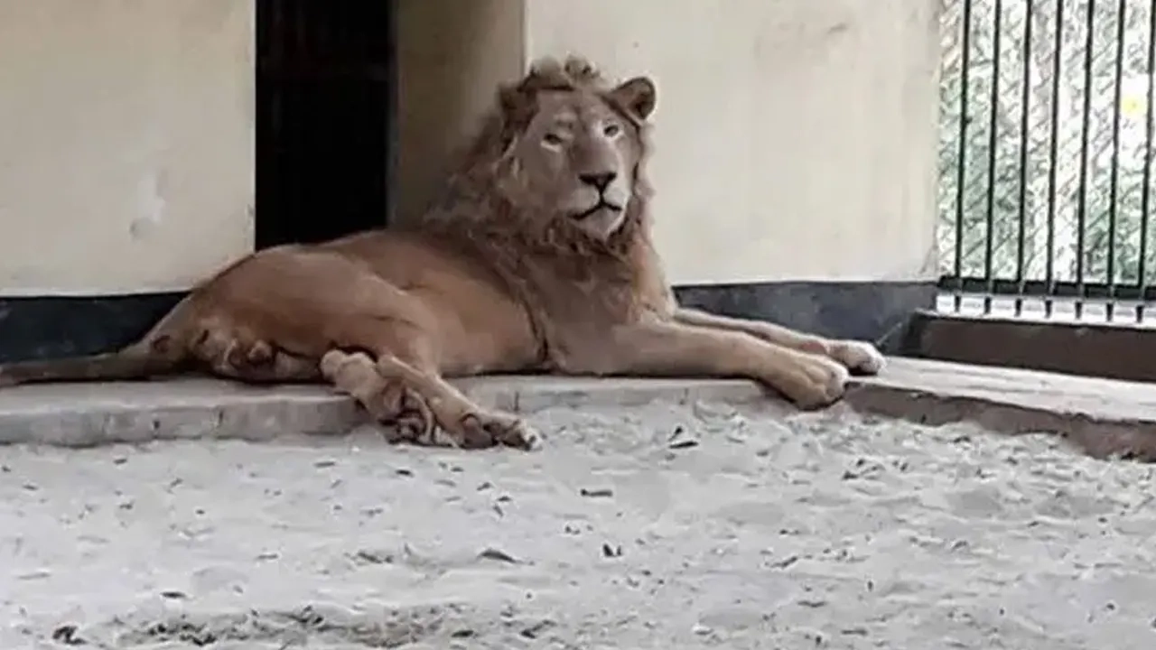 ছবি সংগৃহীত