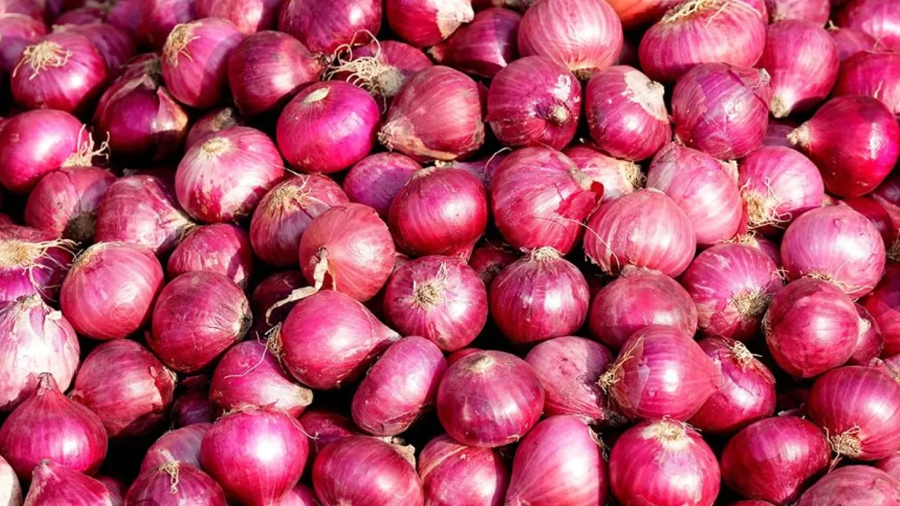 পেঁয়াজ আমদানির খবরে দিনাজপুরের হিলিতে কমেছে দেশি পেঁয়াজের দাম