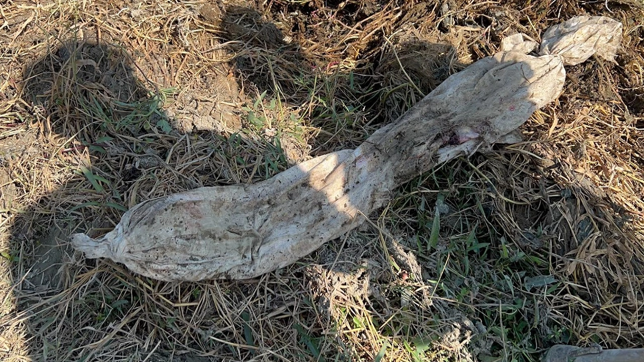 কাপড়ে মোড়ানো রহস্যময় বস্তু