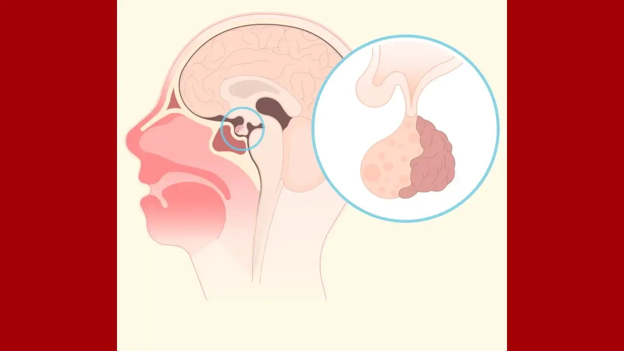 হৃৎস্পন্দন চলছে, শ্বাসও আছে তবু কেন ‘ব্রেন ডেথ’ বলা হয় 