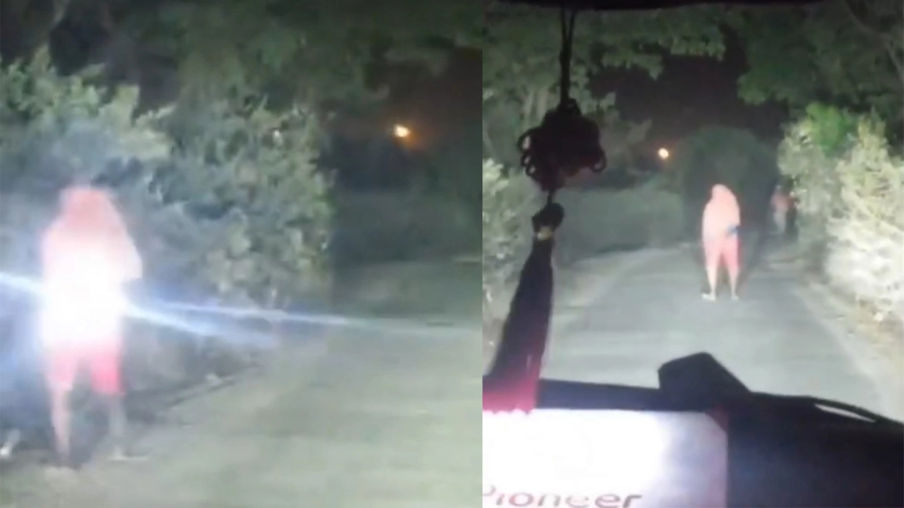 প্রাইভেটকার থামিয়ে ডাকাতি