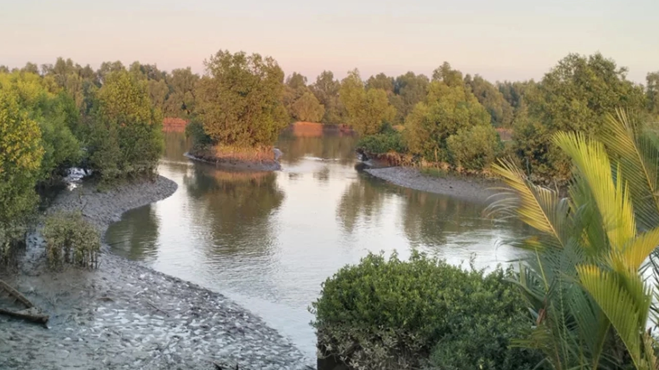 মিয়ানমারে জান্তা সরকার ও আরাকান আর্মির সংঘর্ষের কারণে টেকনাফ সীমান্তবর্তী এলাকায় আতঙ্কের অবস্থা বিরাজ করছে